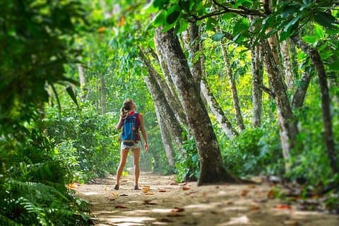 Parque Cahuita y Prospect Plantation. Excursión en tierra desde Limón
