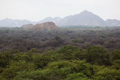 Pomac Forest Historic Sanctuary & Sican Museum