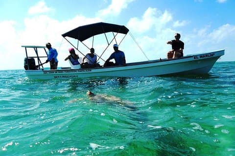 Private Tour - Sian Ka´an Abenteuer