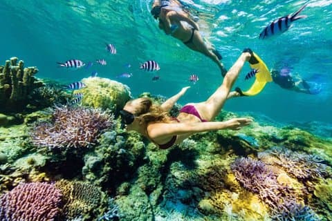 All Inclusive Bali Blue Lagoon snorkling med lunsj privat tur