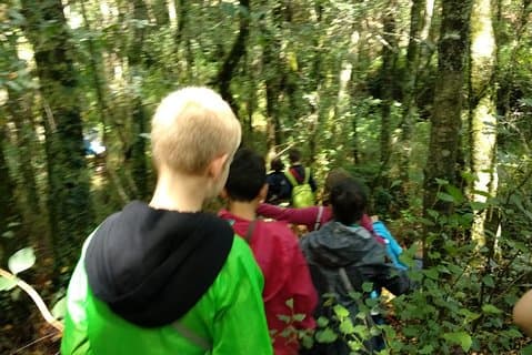 Excursión por Grixalba, Ruta dos Muíños y Taller de Queso