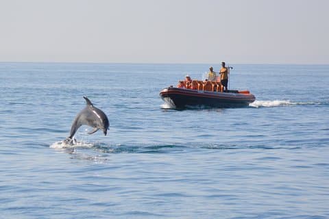 Excursion en bateau la moins chère en famille au départ de Vilamoura en Algarve