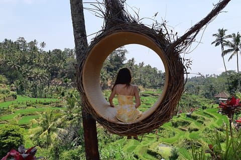 Best Of Ubud All Inclusive Tour, cascade, rizière et temple