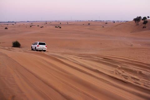 Dubai Desert Safari Tour med BBQ Middag och Hotell Överföringar