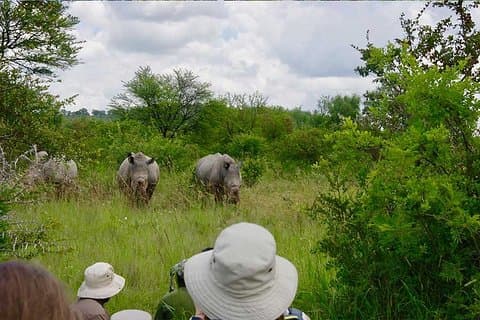 10-daagse Zimbabwe en Chobe NP-tour