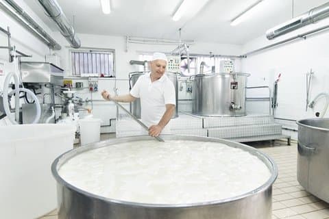 Dolce Vita-tour met kaas-, olijfolie- en wijnervaringen