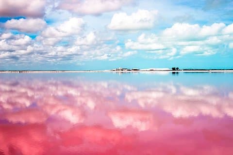 Visite d'exploration de Las Coloradas