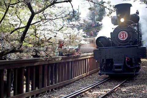 3-dagars Taiwan History and Nature Premium Private Tour
