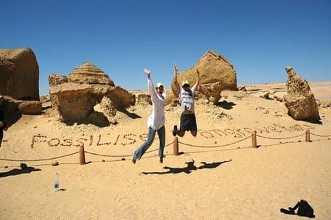 Privé Fayoum, Wadi El Hitan & Wadi El Rayan Safari vanuit Caïro