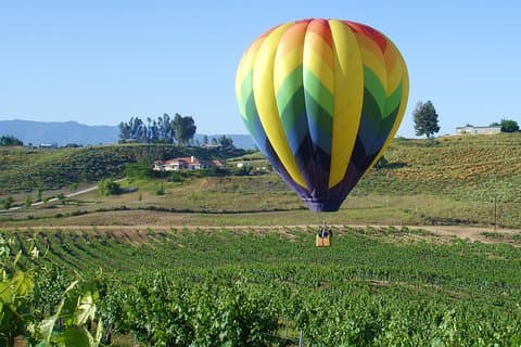 Temecula Wine Country AM Balloon Ride