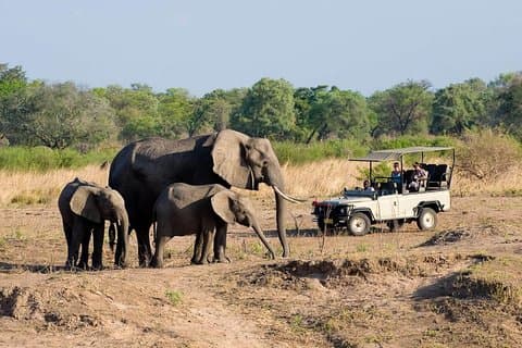 Kleine groepsreis in het Zambezi National Park