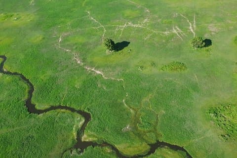 Safari de acampamento de 3 dias em Moremi