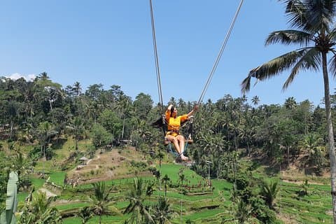 Ubud-Schaukel-, Wassertempel- und Wasserfall-Tour