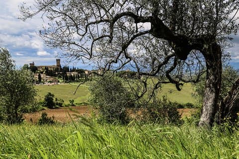 O melhor do passeio de bicicleta elétrica do Chianti Classico