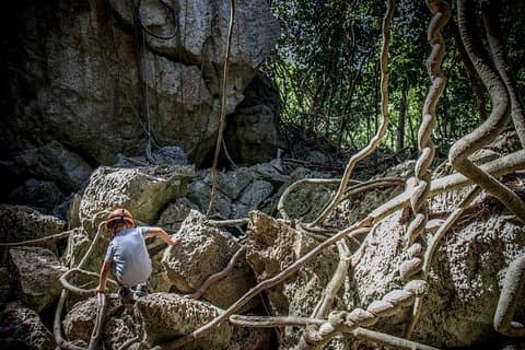 Capricorn Caves Capricorn Explorer