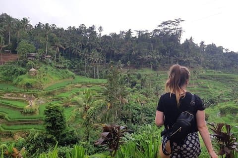Bali All Inclusive Tour, Ubud Reisterrasse, Tempel und Vulkan