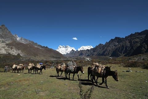 12 giorni di meraviglie del Bhutan con Gangtey Nature Trek di 3 giorni