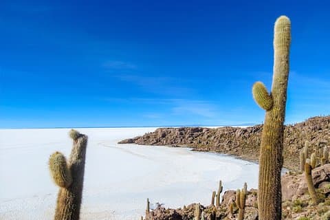 Uyuni Salt Flats - FULD DAY - Engelsk talevejledning