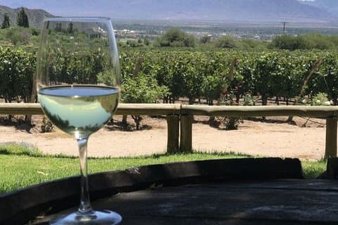 South Wine Routes, San Juan - Half day tour