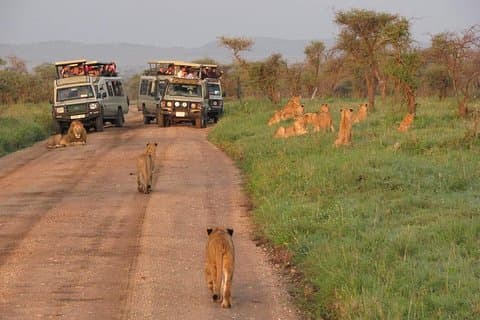 3 giorni Tarangire, cratere di Ngorongoro e lago Manyara