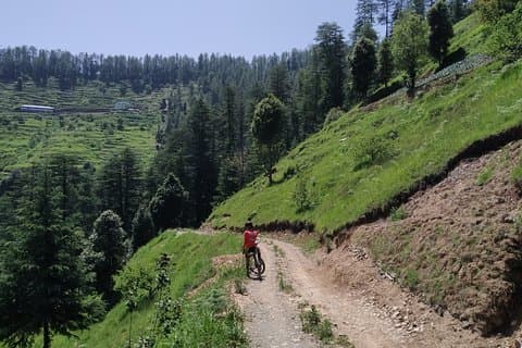 3-Day Private Mountain Bike Camp in Shimla