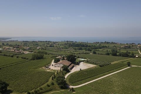 Visita y cata de vinos en Tenuta La Cà