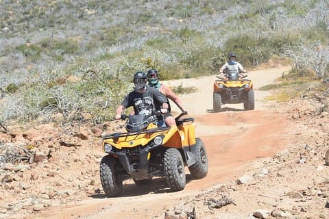 Combo Doble Atv + Caballos