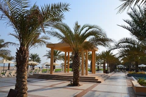 Ras Al Khaimah City Tour - halv dag