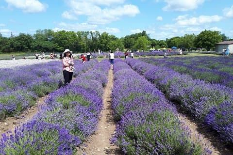 Heldags højdepunkter i Prince Edward County Private Tour