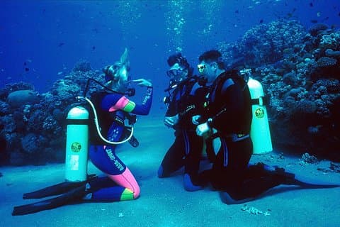 PADI Open Water Cursus