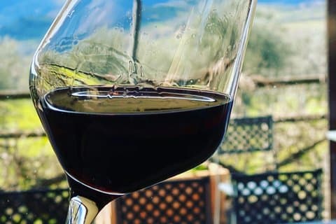 Excursão exclusiva privada de vinho da Toscana e sessão de combinação de alimentos