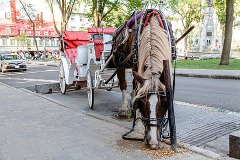 Quebec City Photo Tour