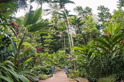 コノコフォールズ植物園へのプライベートトランスファー