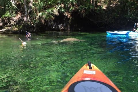 Wekiva River guidad kajaktur