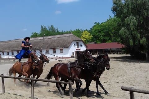 O Horse Show "Puszta"