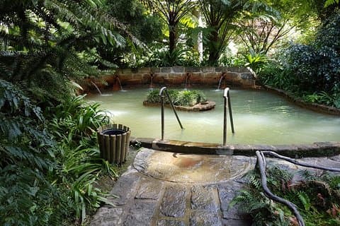 São Miguel Full Day Guided Tour to Furnas with Lunch Included