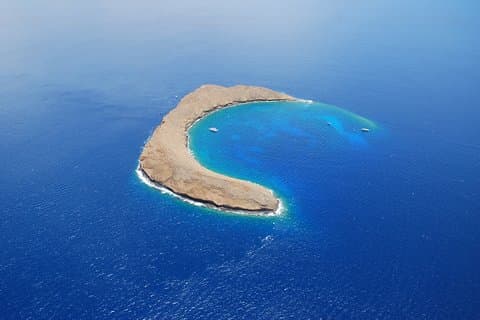 Restauranter i nærheden af Molokini & Turtle Town Snorkel & Waterslide Adventure