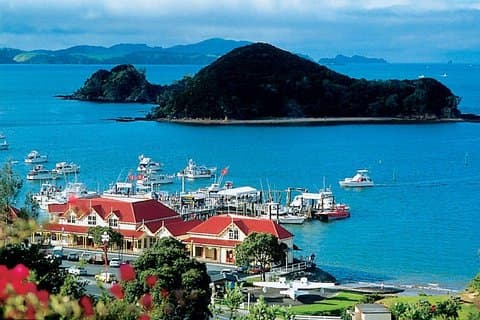 Waitangi-traktat dagstur Privat transport fra Auckland