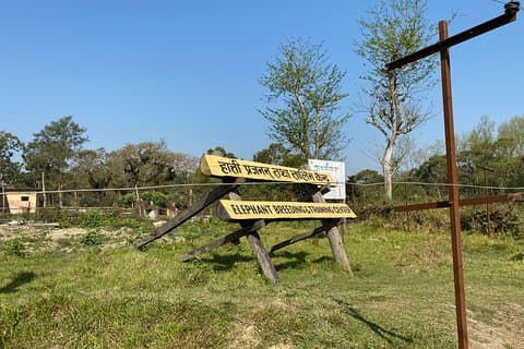 1 natt 2 dager Chitwan Safari Tour