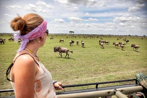 3 Days 2 Nights Serengeti, Ngorongoro & Tarangire Wildlife Lodge Safari