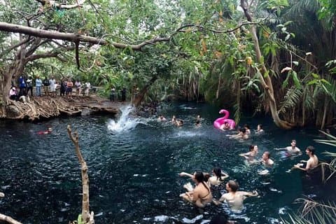Kikuletwa Hotsprings-Day Trip
