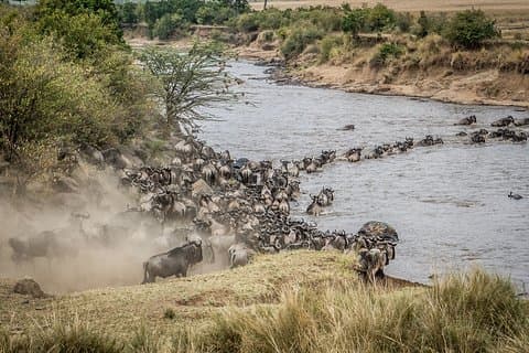 Safari privato di 10 giorni in Tanzania