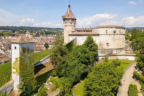 Nordlige Schweiz Fuld dag (Private Tour)