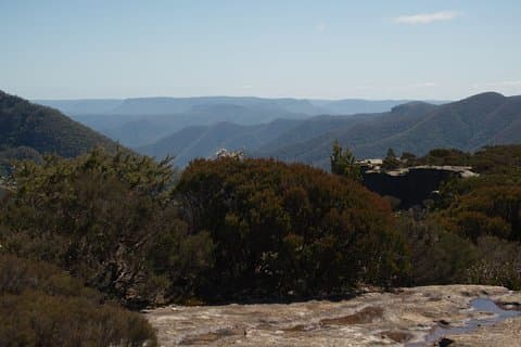 Visite découverte des explorateurs - Or, vin et faune