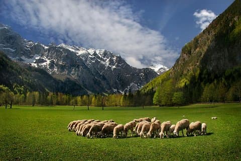 Vale Logarska | Viagem privada de Liubliana