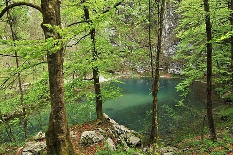 UNESCO Idrija & Partisan Hospital Franja | Privat tur fra Ljubljana