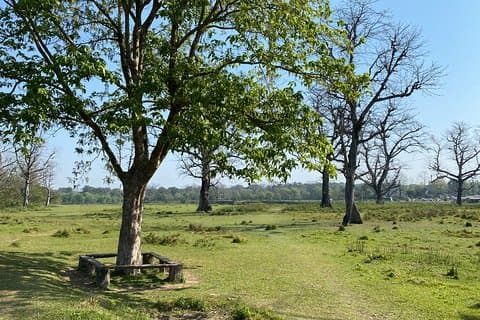 Naturvandring i Chitwan Jungle Safari med guide