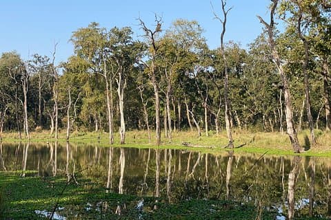 3 netter 4 dager komfortabel Chitwan Safari Tour