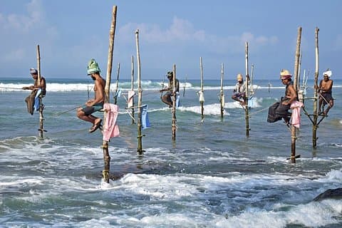 14-nights/15-days Sri Lanka round tour by Minivan - with Udawalawa Safari