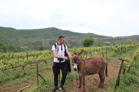 Albanian Highlights - UNESCO sites ,Nature and Food tour
